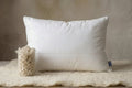 Wisewool™ Pillow